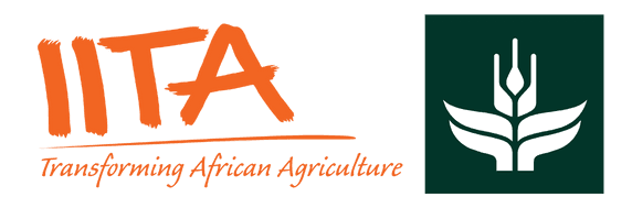 International Institute of Tropical Agriculture