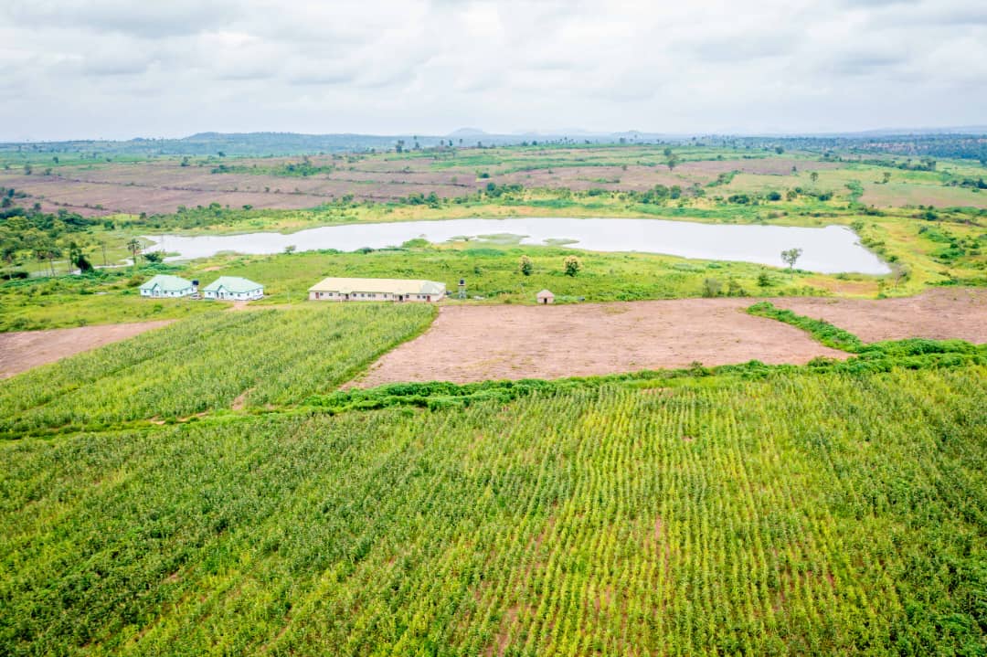 Aerial view of cultivated farmland beside a reservoir in Ekiti State